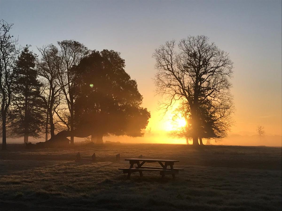 The Stables At Henham Park Bed and Breakfast Southwold Exteriör bild