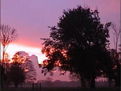 The Stables At Henham Park Bed and Breakfast Southwold Exteriör bild